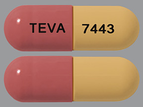 FLUVASTATIN SODIUM (LESCOL) 