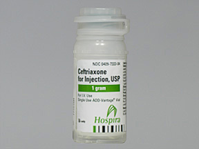 CEFTRIAXONE (ROCEPHIN) 