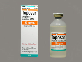 TOPOSAR (TOPOSAR) 