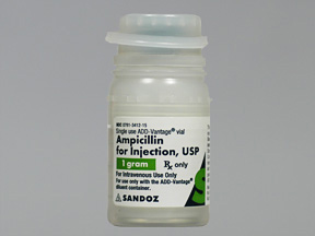 AMPICILLIN SODIUM (TOTACILLIN-N) 