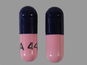 AMOXICILLIN (AMOXIL) 