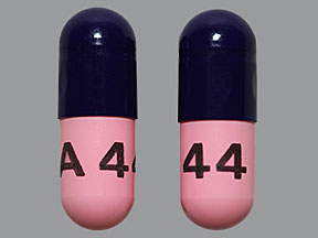 AMOXICILLIN (AMOXIL) 